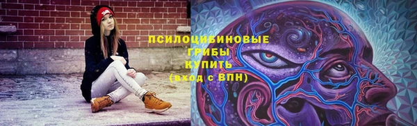 ПСИЛОЦИБИНОВЫЕ ГРИБЫ Верея